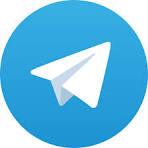casino airport shuttle Telegram Bot